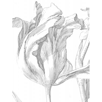 Skritulio formos tapetai XL, graviūrinės gėlės