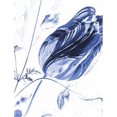 Tapetų pano XL, mėlynos karališkos gėlės