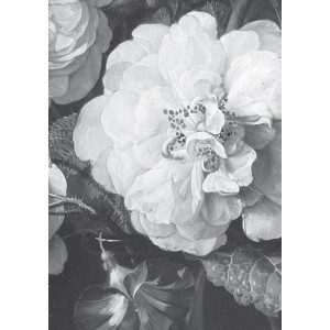 Fototapetas, aukso amžiaus gėlės, baltos ir juodos, 4 lakštai