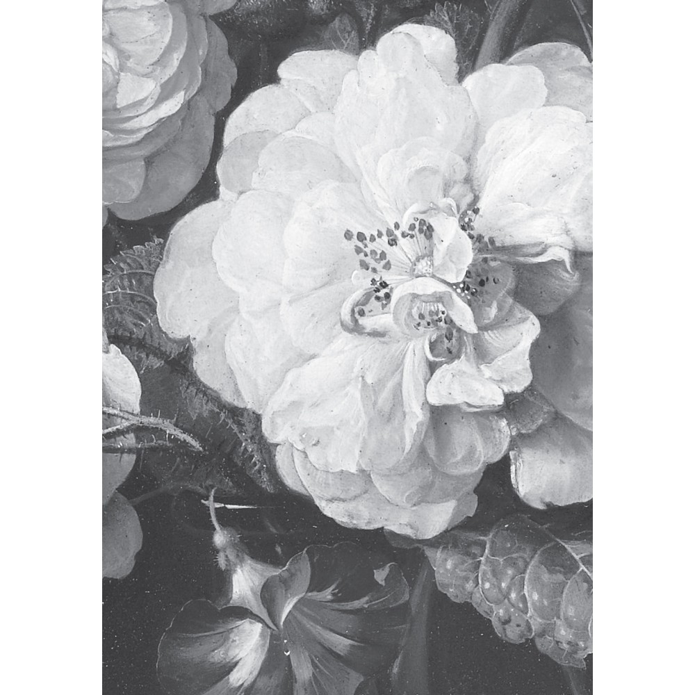 Fototapetas, aukso amžiaus gėlės, baltos ir juodos, 8 lakštai