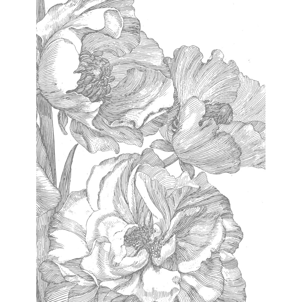 Fototapetas, graviūrinės gėlės, 4 lakštai
